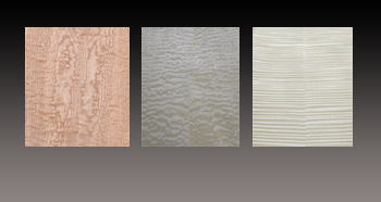 Veneer Options